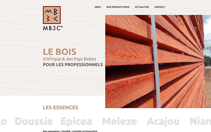 Webdesign Accueil MB3C